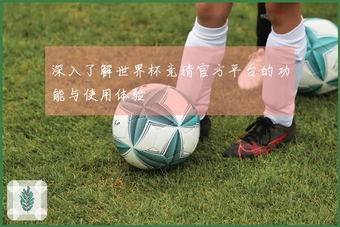 深入了解世界杯竞猜官方平台的功能与使用体验