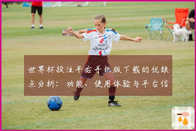 世界杯投注平台手机版下载的优缺点分析：功能、使用体验与平台信息概述