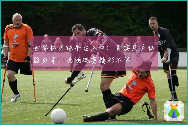 世界杯买球平台入口：真实用户体验分享，流畅观赛精彩不停