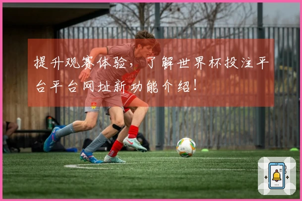 提升观赛体验，了解世界杯投注平台平台网址新功能介绍！
