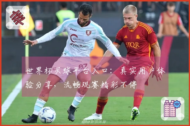 世界杯买球平台入口：真实用户体验分享，流畅观赛精彩不停