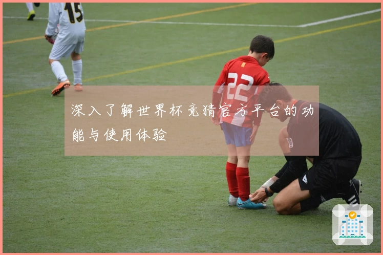 深入了解世界杯竞猜官方平台的功能与使用体验