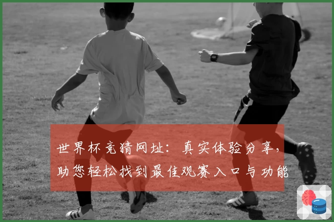 世界杯竞猜网址：真实体验分享，助您轻松找到最佳观赛入口与功能。